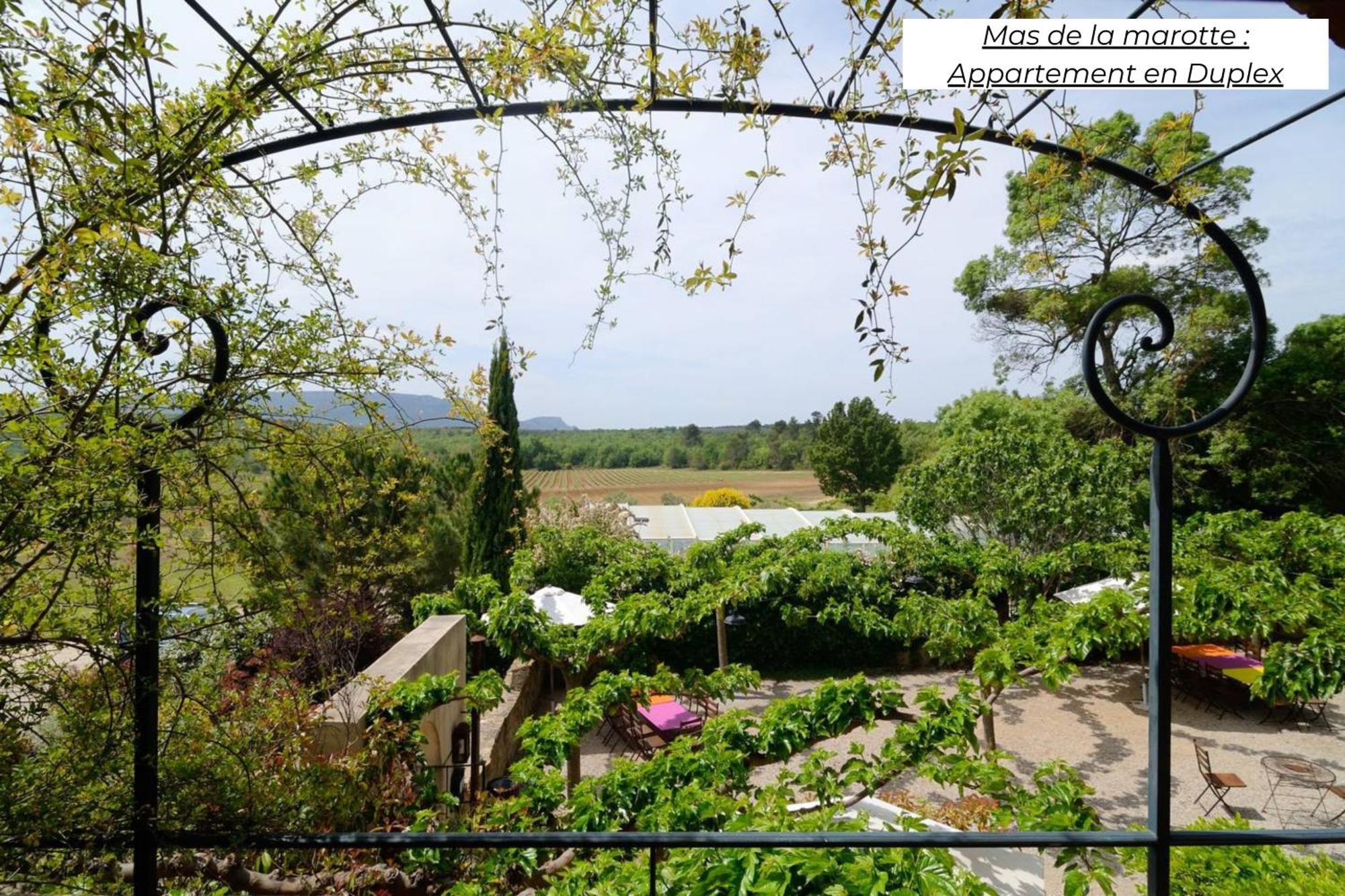Апартаменты Domaine Les Terres De Saint-Hilaire Ollieres Экстерьер фото